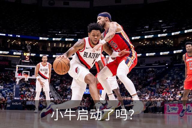 小牛启动了吗？